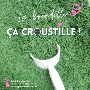 petite pelle blanche dans un tas de brindilles de spiruline verte