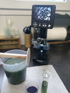 Animation autour de la spiruline lors de la Fête de la Science à Loudéac
